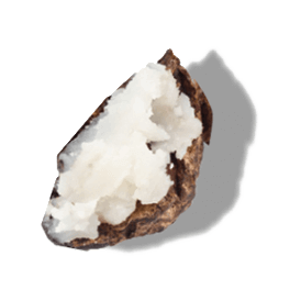 زبدة الشيا زبدة الشيا